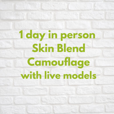 VMM® Skin Blend 1-Day Class In-person